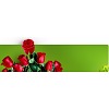 Flos Decor Flos Decor